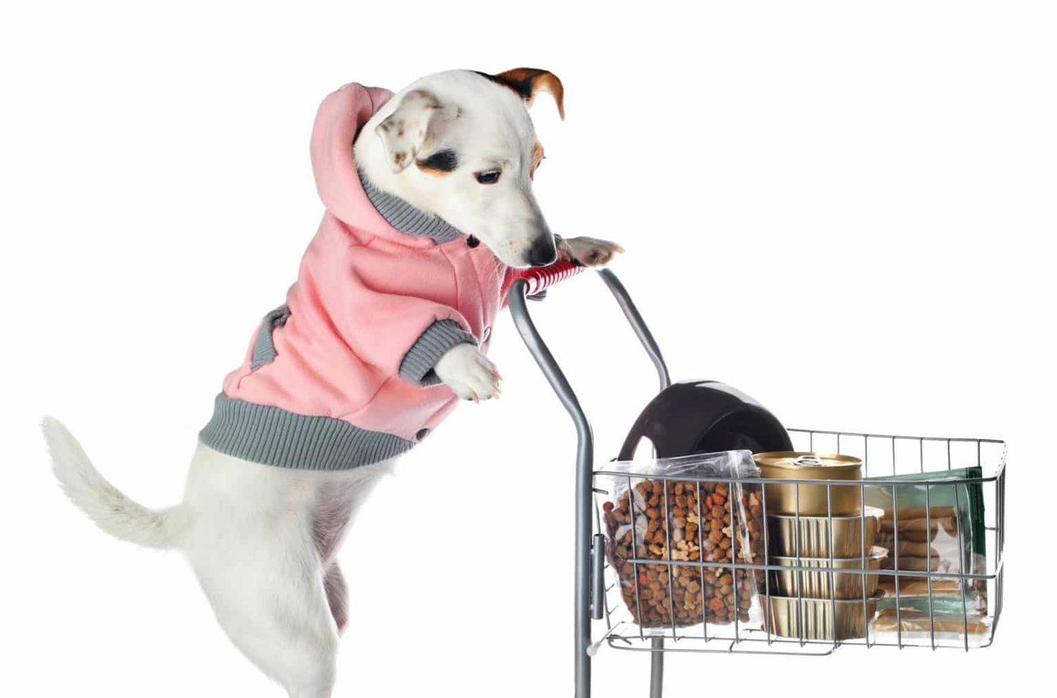 Pet Supplies/مستلزمات الحيوانات